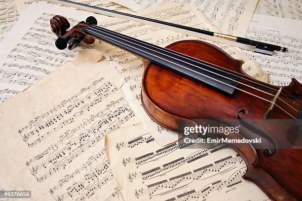 Violin Basic for Beginner