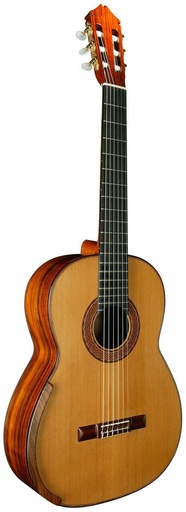 Acoustics King (Large)